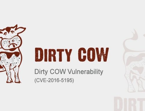 Dirty COW Vulnerability ( CVE-2016-5195 )