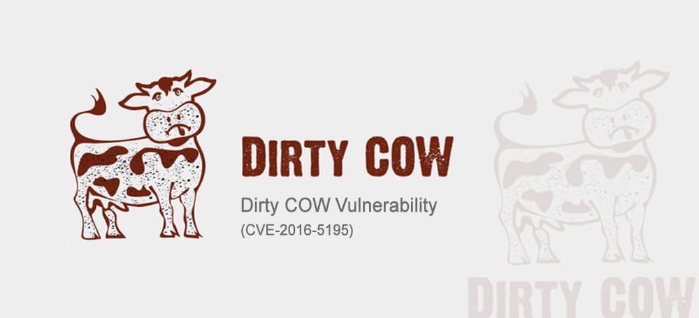 dirty cow banner